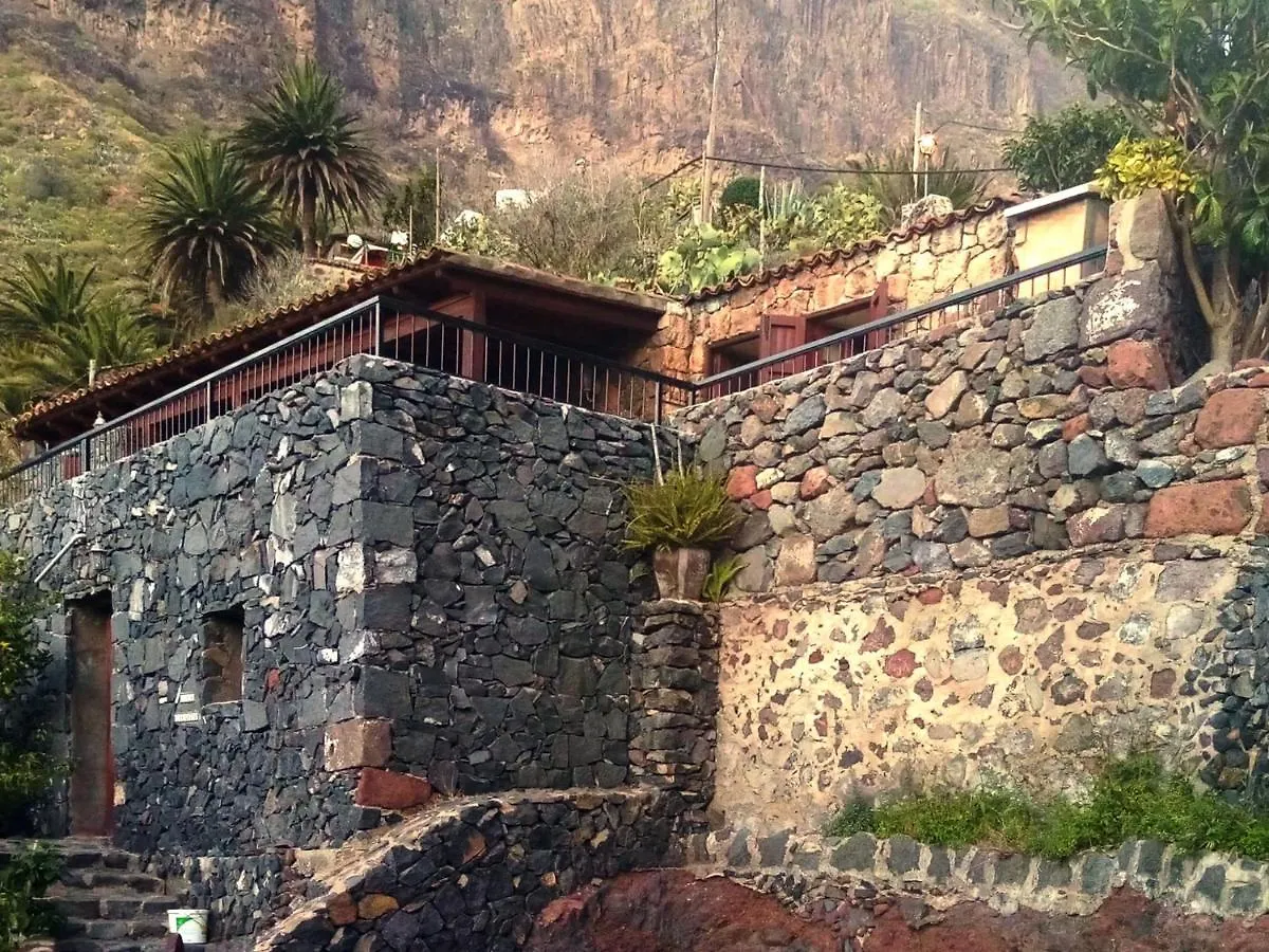 Live Masca Casatarucho Villa Buenavista Del Norte